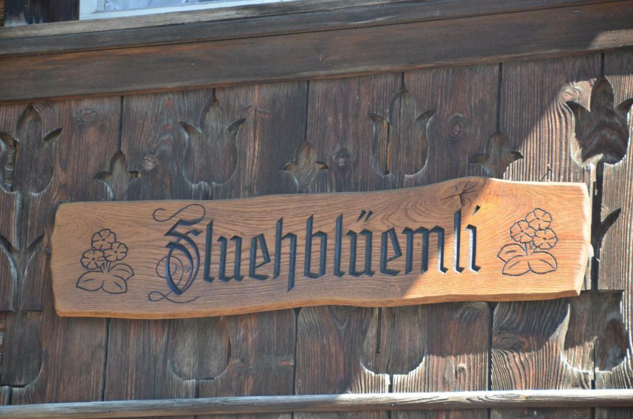 Apartmán Fluehblueemli Grindelwald Exteriér fotografie
