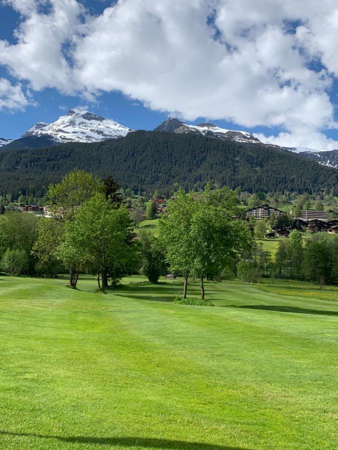 Apartmán Fluehblueemli Grindelwald Exteriér fotografie